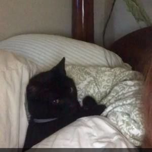 Meet your Posher, Allie